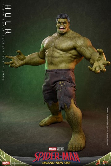 Hot Toys Spider-Man: Brand New Day – Hulk 1:6 Scale Collectible Figure 